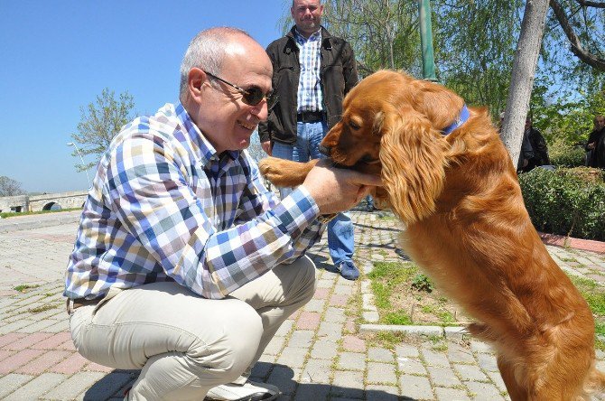 Büyükçekmece Belediyesi’nden Örnek Uygulama