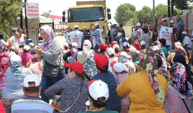 Grevdeki Üzüm İşçilerine Chp’den Destek