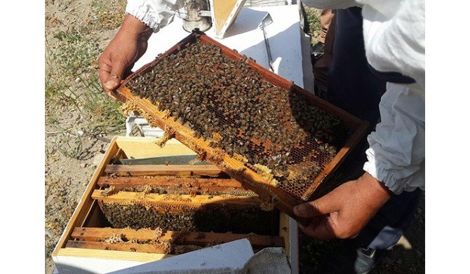 ’Ballı’ Destekten Germiyanlı Kadınlar Da Yararlanacak