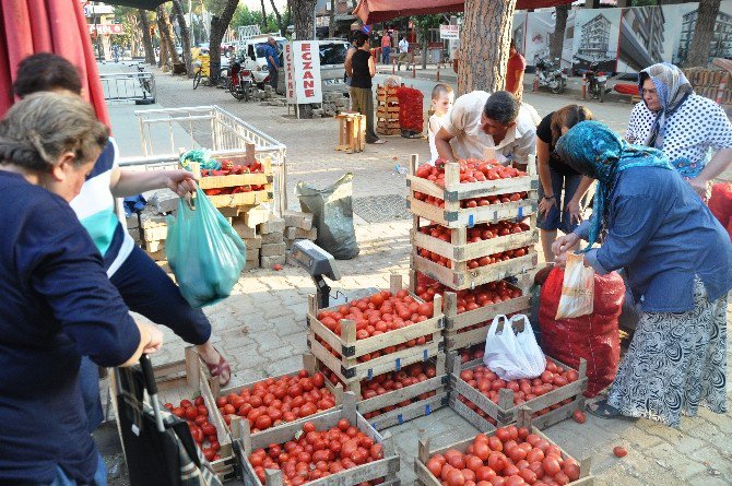 Ödemiş’te Merakla Beklenen Salça Sezonu Açıldı