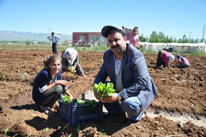 Solgun: “Muş Ovası’nın Kurutuluşu İçin Mücadele Ediyoruz”