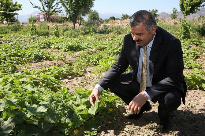 Organik Bahçe’nin Temeli Atılıyor