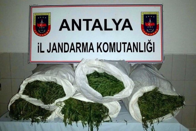 Antalya’da Uyuşturucu Operasyonu: 8 Gözaltı