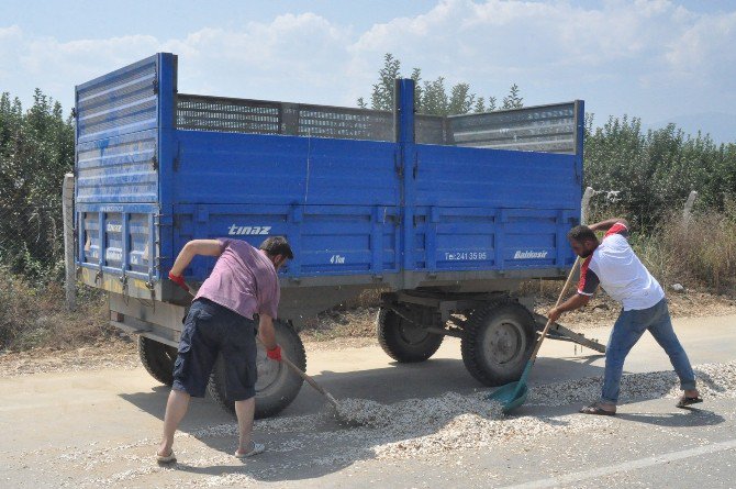 Ay Çekirdeği Hasadı Başladı