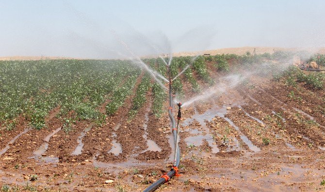 Dicle Elektrik Kayıtsız Çiftçileri De Uyardı