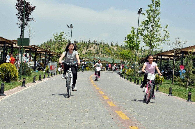 Piknik Severlerin Tercihi Kartaltepe Kent Ormanı