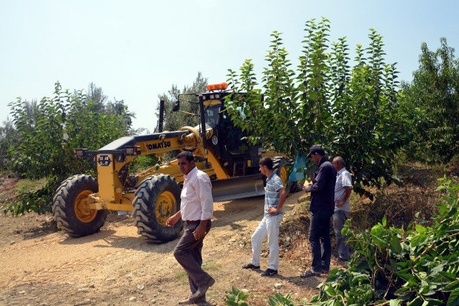 Akdeniz’de Yeni Tarım Yolları Açılıyor