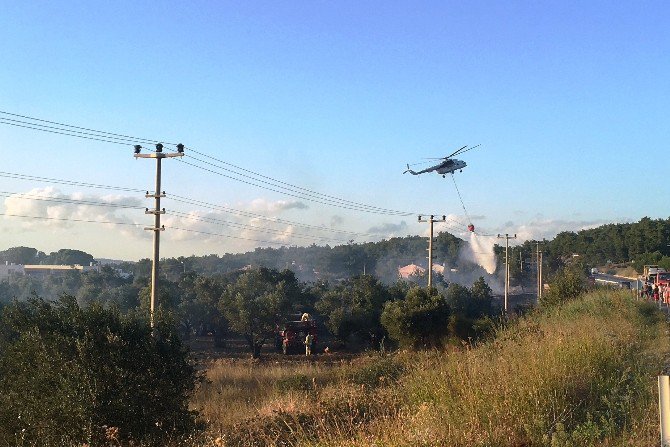 Çanakkale’de Korkutan Yangın