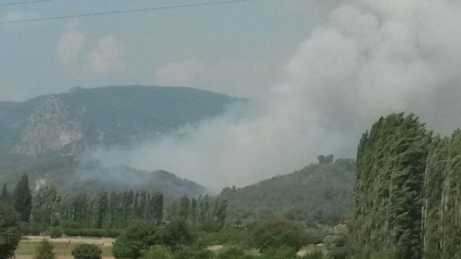 Muğla’da Orman Yangını