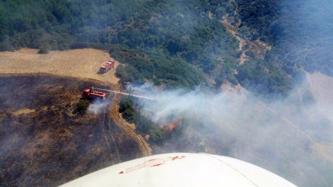 Çanakkale’de Orman Yangını