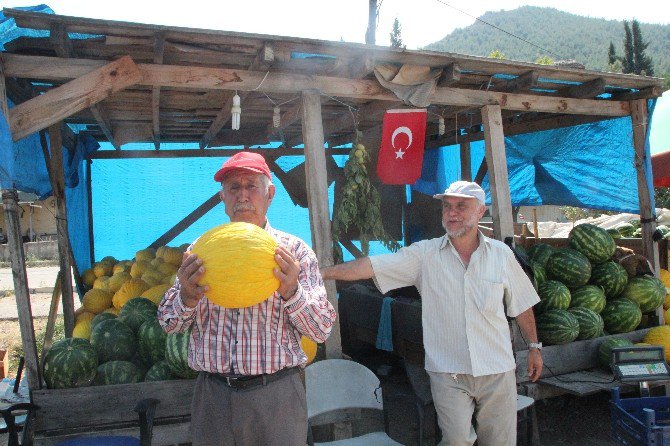 Osmaneli’nde Yerli Karpuz Ve Kavun Satışları Çiftçinin Yüzünü Güldürdü