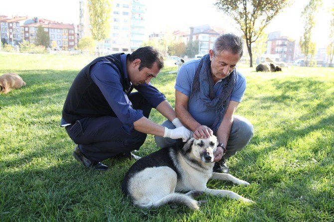 Odunpazarı Belediyesi İle Eskişehir Büyükşehir Belediyesi Protokol İmzaladı