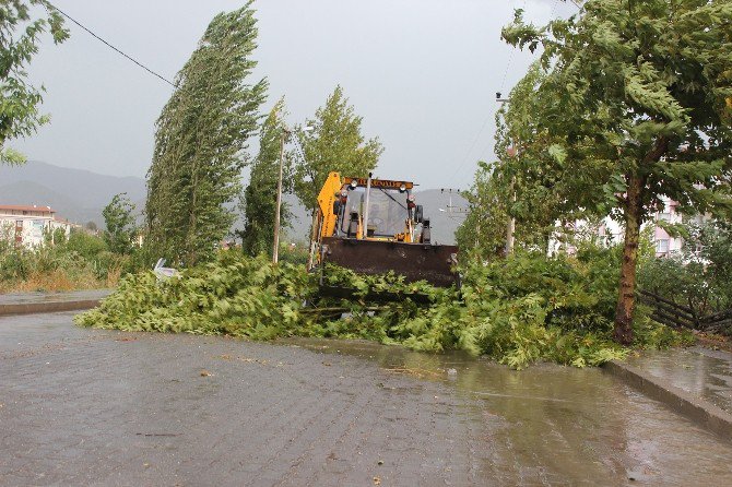 Osmancık’ta Fırtına Ölüme Yol Açtı