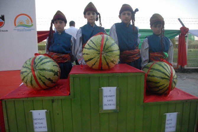 Diyarbakır Kültür Ve Karpuz Tanıtım Festivali Düzenlendi