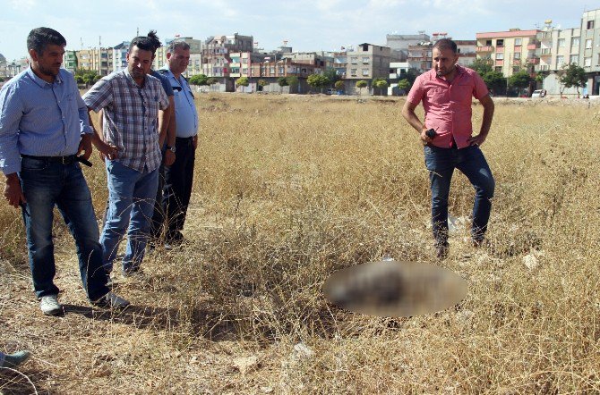 Gaziantep’te Çürümüş Erkek Cesedi Bulundu