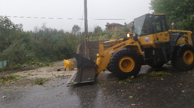 Tosya’da Fırtına Evlerin Çatısını Uçurdu, 1 Kişi Yaralandı