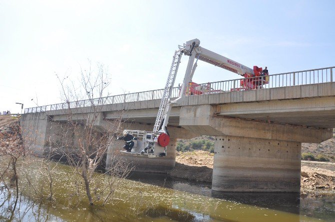 Baykuşu Kurtarmak İçin Yol Trafiğe Kapatıldı