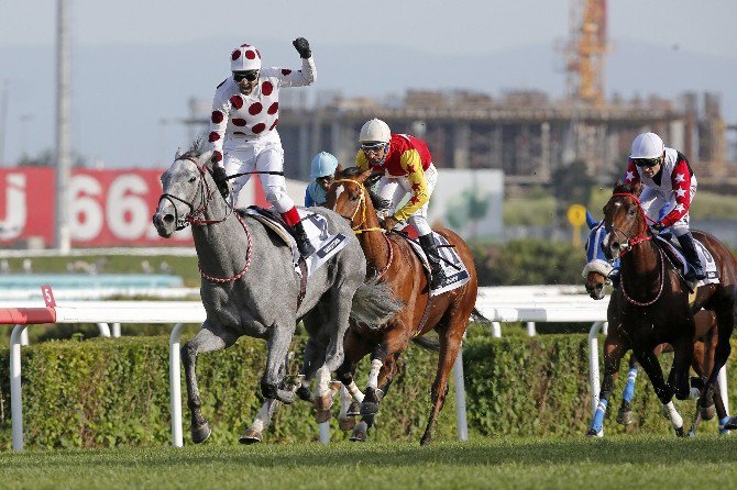 Ankara Koşusu’nda Gözler Graystorm’da