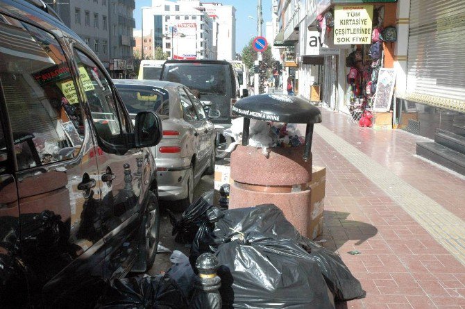 Van’da Çöpler Toplanmadı