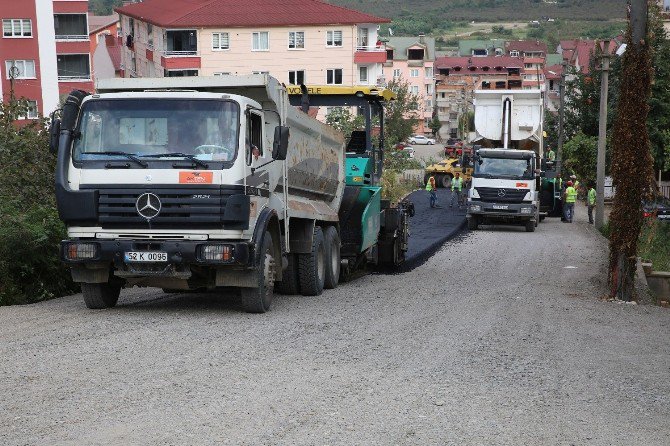 Altınordu’da Asfalt Seferberliği Sürüyor