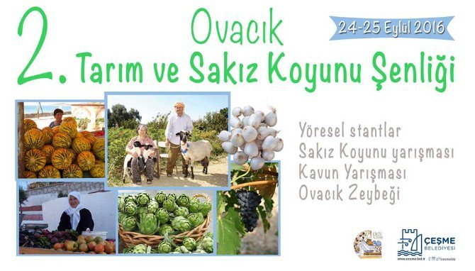 2. Ovacık Tarım Ve Sakız Koyunu Şenliği Başlıyor