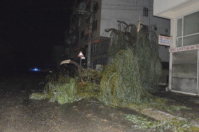 Düzce’de Hortum Çatıları Uçurdu, 3 Kişi Yaralandı