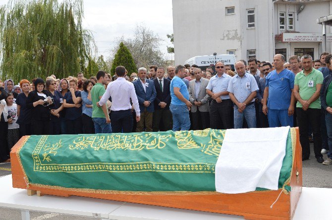 Ambulansın Devrilmesi Sonucu Ölen Sağlık Memuru İçin Tören Düzenlendi