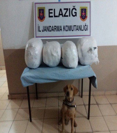 Elazığ’da 46 Kilogram Esrar Ele Geçirildi