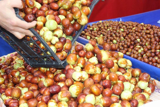 Şifa Kaynağı Hünnap Tezgahlardaki Yerini Aldı