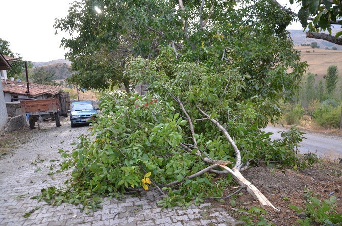 Çorum’da Fırtına Çatıları Uçurdu