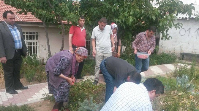 Yozgat Toplum Sağlı Merkezinde Hastalar Yetiştirdikleri Sebzeleri Topladı