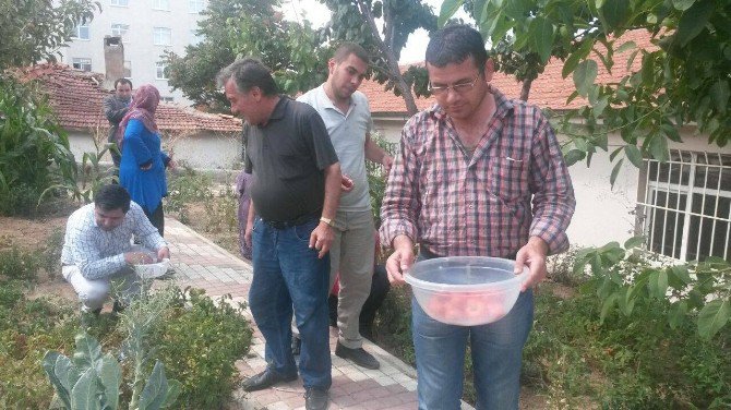 Yozgat Toplum Sağlı Merkezinde Hastalar Yetiştirdikleri Sebzeleri Topladı