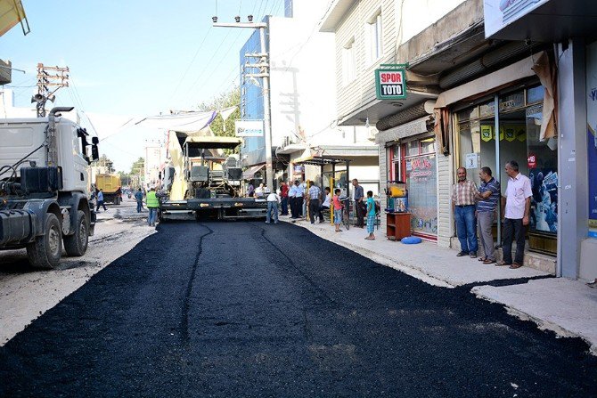 Ceylanpınar’da Asfaltlama Çalışması