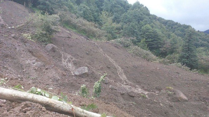 Beşikdüzü İlçesinde Yaşanan Afette Kaybolan Gülten Angın’ı Arama Çalışmaları Sürüyor