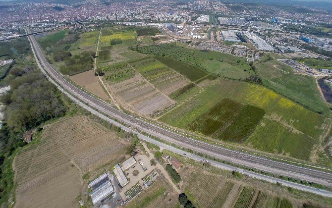 Salim Dervişoğlu Caddesi D-100’e Alternatif Olacak