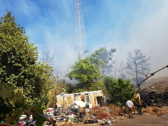 Antalya’da Orman Yangını