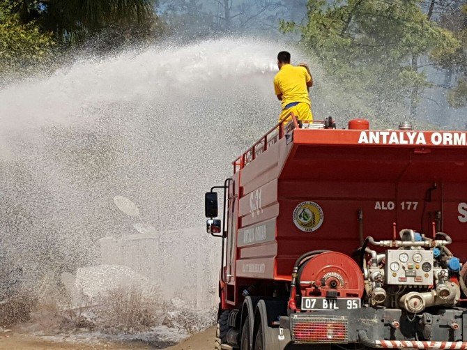 Antalya’da Orman Yangını