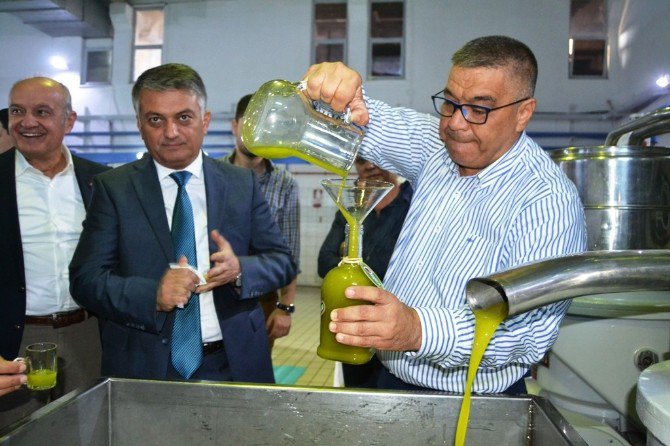 Ayvalık’ta Sezonun İlk Hasat Zeytinyağı Vali Yazıcı’nın Katılımıyla Sıkıldı