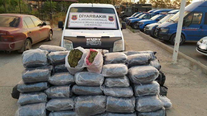 Diyarbakır’da 345 Kilogram Esrar Ele Geçirildi