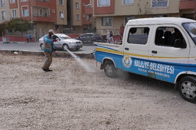 Haliliye Belediyesi’nden Kapsamlı İlaçlama Ve Temizlik Çalışması