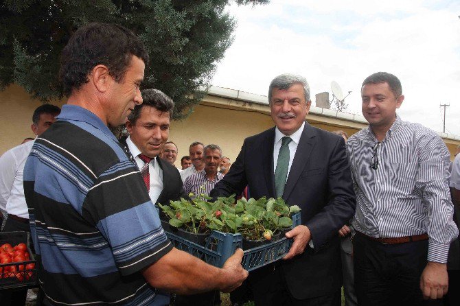 Kocaeli’de Tarımın Kalbi Bu Çalıştayda Atacak