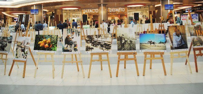 Büyükşehir Kent Konseyinden ‘Şiirli Fotoğraf’ Sergisi