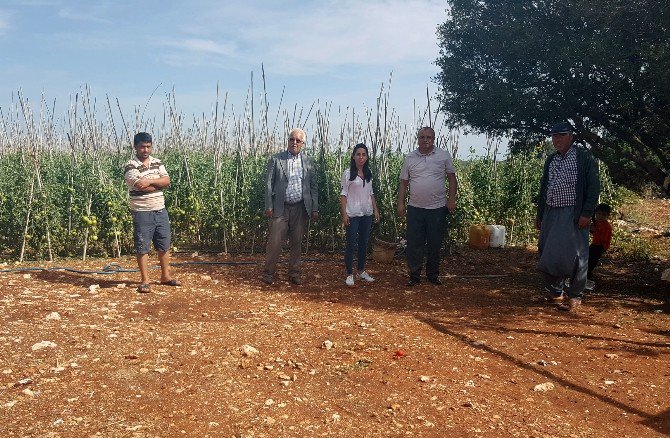 Mersin Büyükşehir Belediyesi Teknik Elemanlarından Çiftçilere Ziyaret