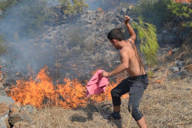 Bozyazı’da Çıkan Orman Yangını Korkuttu