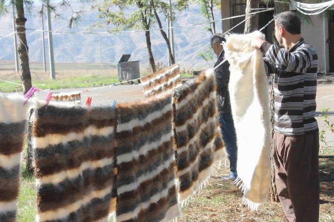 Siirt Battaniyesi Küllerinden Doğdu