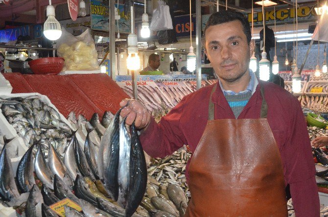 Balık Tezgahlarında Bereketlilik Yaşanıyor