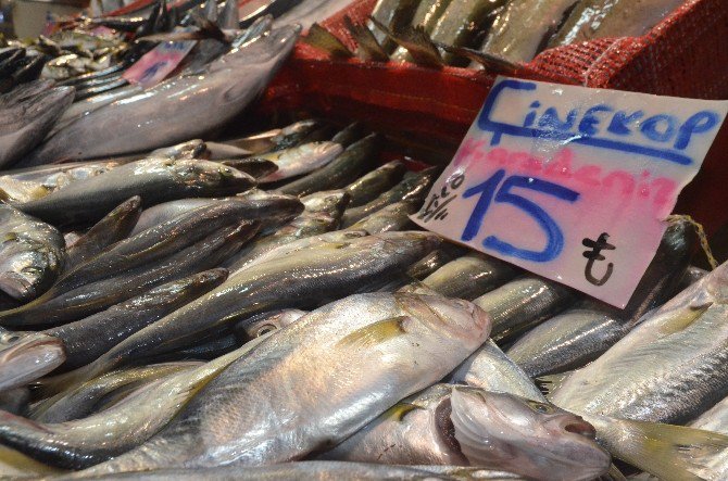 Balık Tezgahlarında Bereketlilik Yaşanıyor