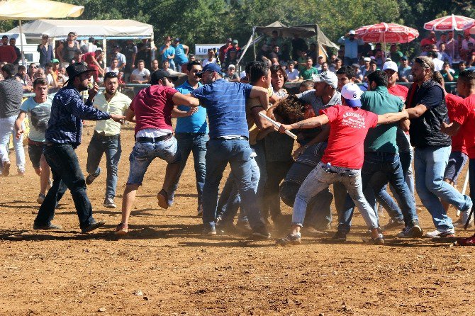 Boğalar Ayrı, Sahipleri Ayrı Güreşti