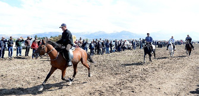 Geleneksel Rahvan At Yarışları Erzurum’da Düzenlendi