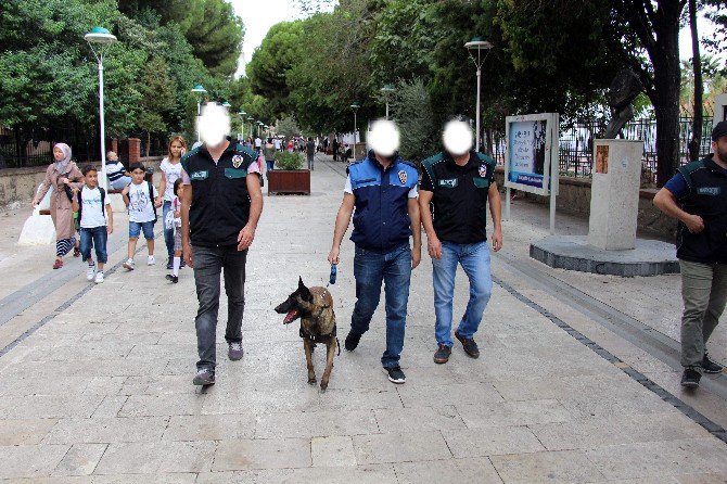 Zehir Satıcıları Okulların Açılmasıyla Birlikte Harekete Geçti